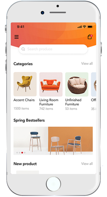 Ecommerce business development